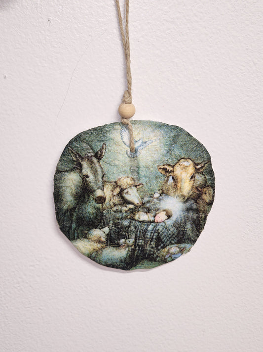 Nativity - Sanddollar