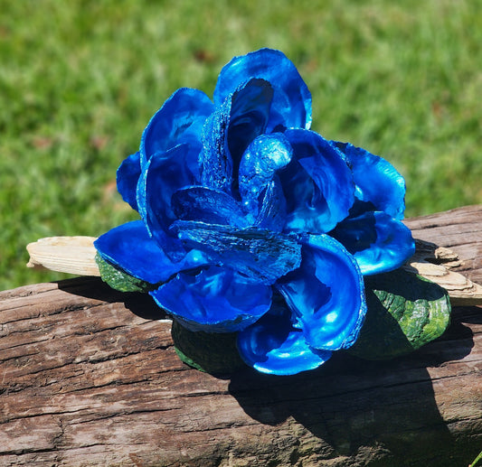 Blue Oyster Shell Bloom