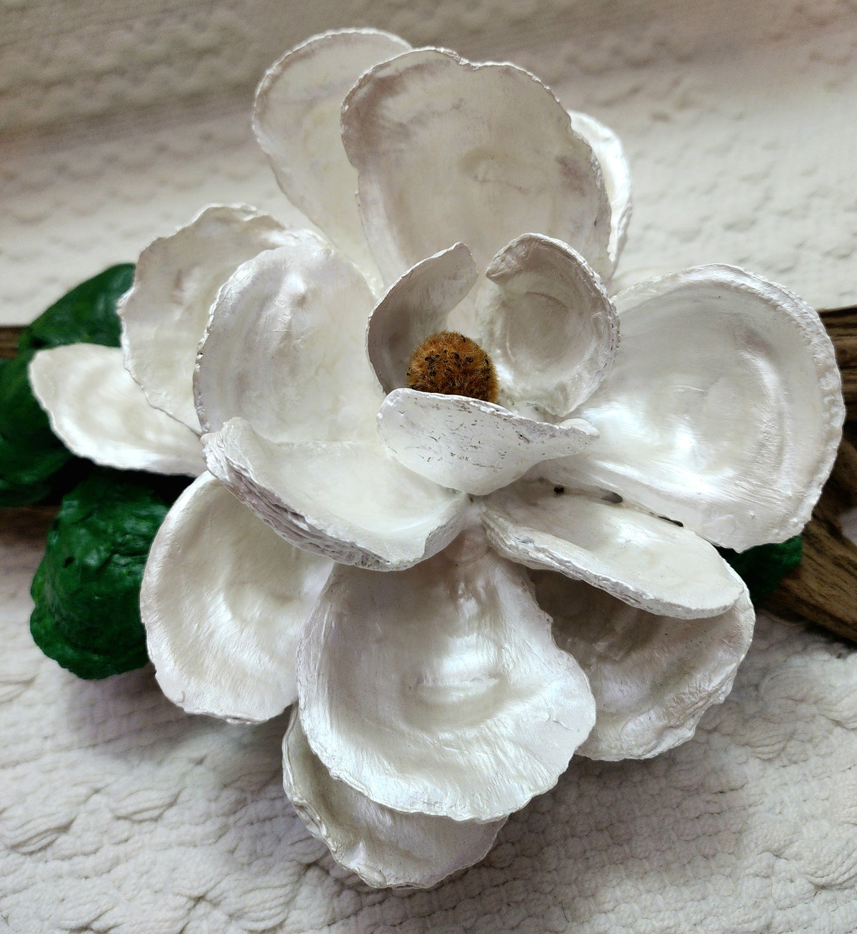 Pearl Magnolia on Driftwood