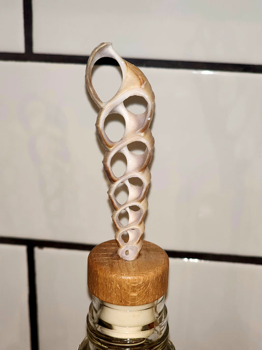 Wine Cork - B