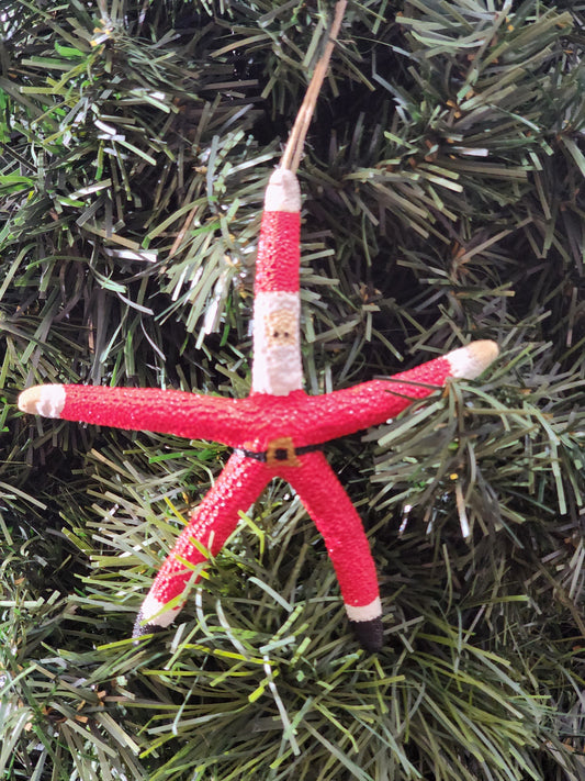 Santa Starfish