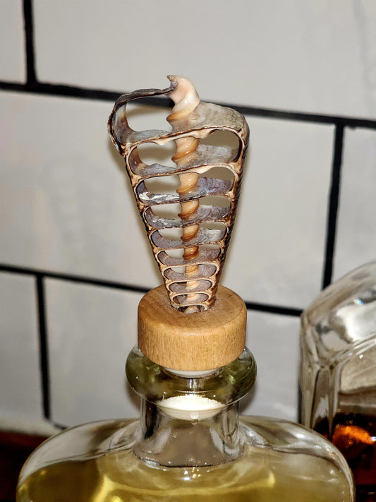 Wine Cork - A
