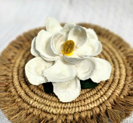 White Magnolia Oyster Shell Bloom