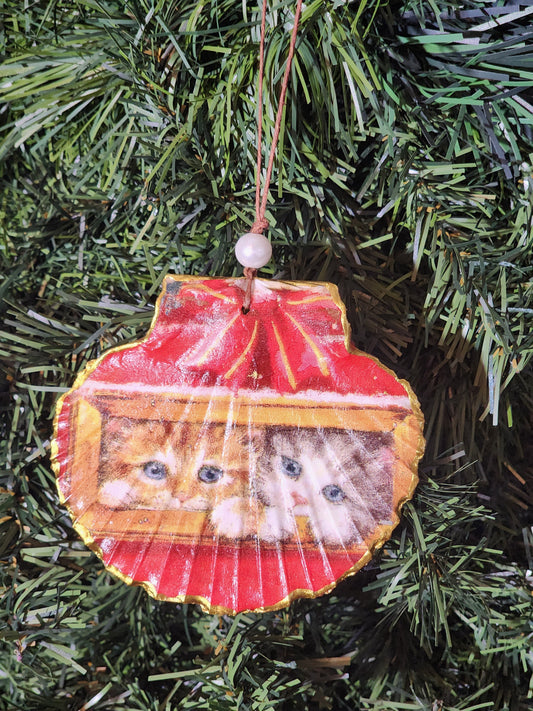 Me See Kittens Ornament