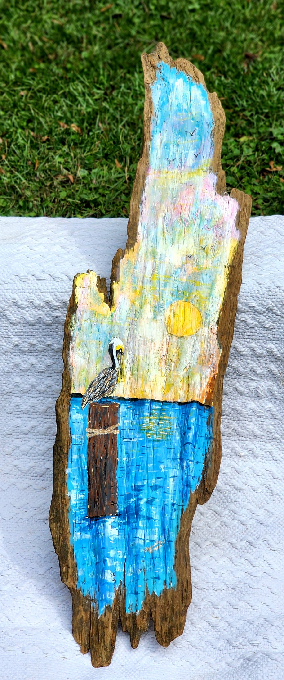 Pelican Sunset on Driftwood