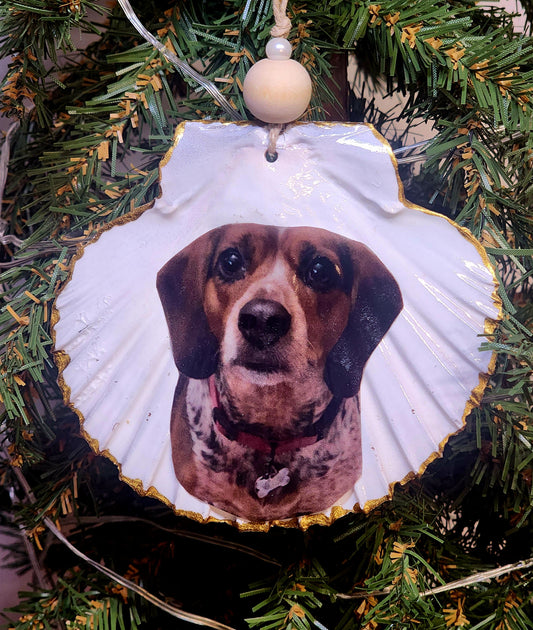 Custom Scallop Shell Ornament