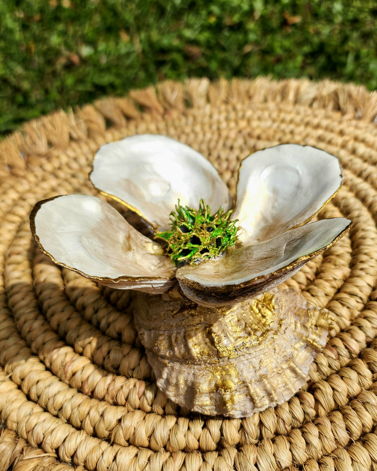 White Oyster Shell Bloom