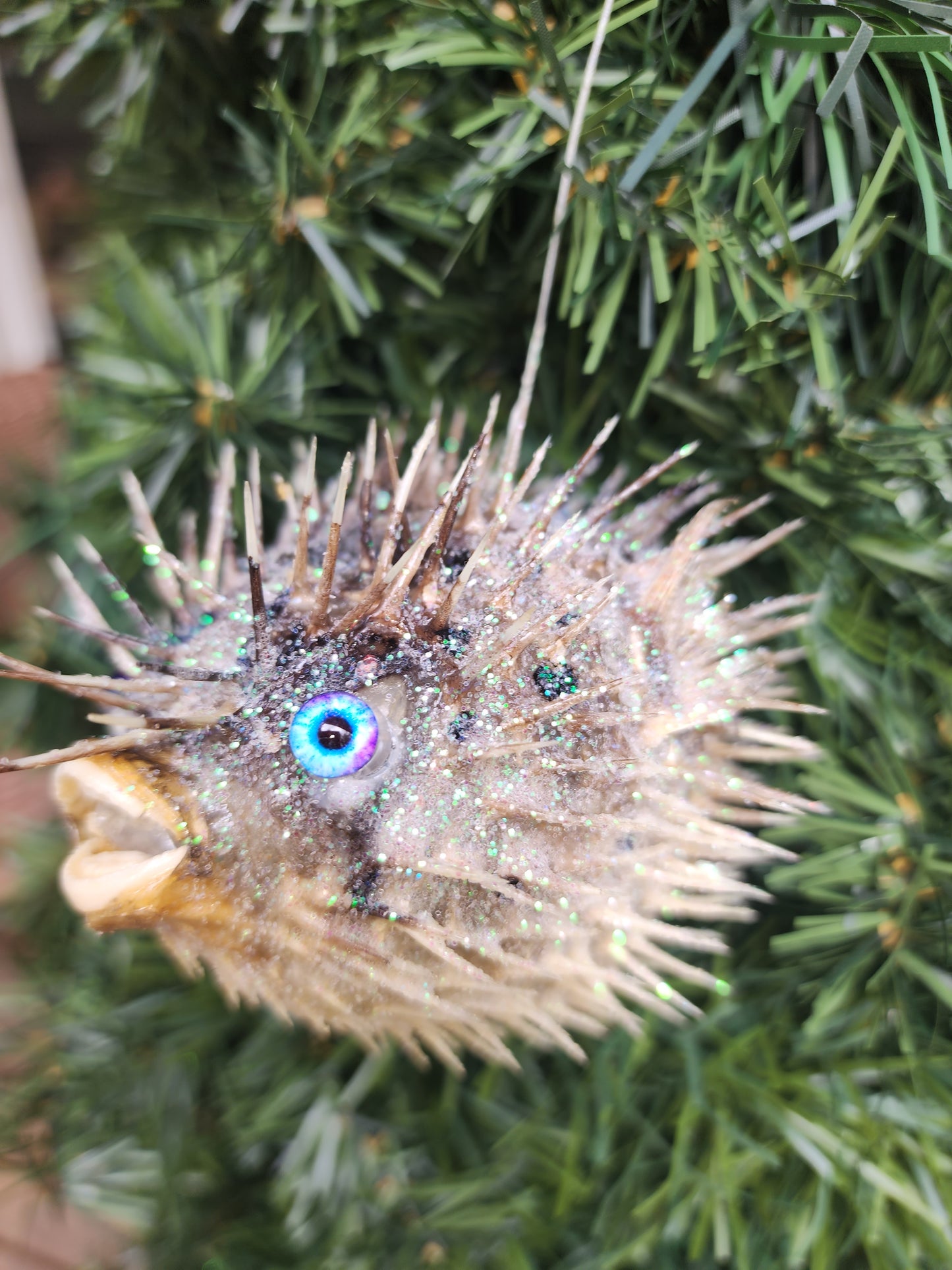 Blue Eyed Puffer