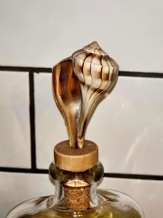 Wine Cork - D
